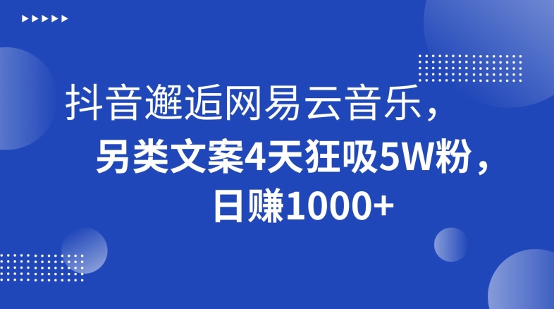 抖音邂逅网易云音乐,另类文案4天狂吸5W粉,日赚1000+【揭秘】