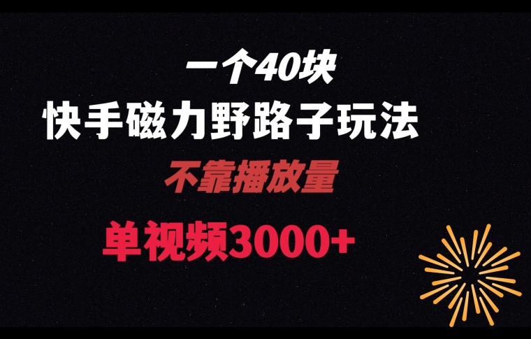 一个40块,快手联合美团磁力新玩法,无视机制野路子玩法,单视频收益4位数【揭秘】