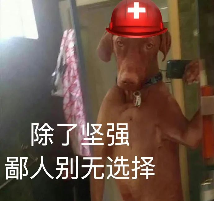 图片[5]-探寻三个小众富婆赛道：奢侈品直播、身心灵疗愈和私密护理-云上仙人资源网