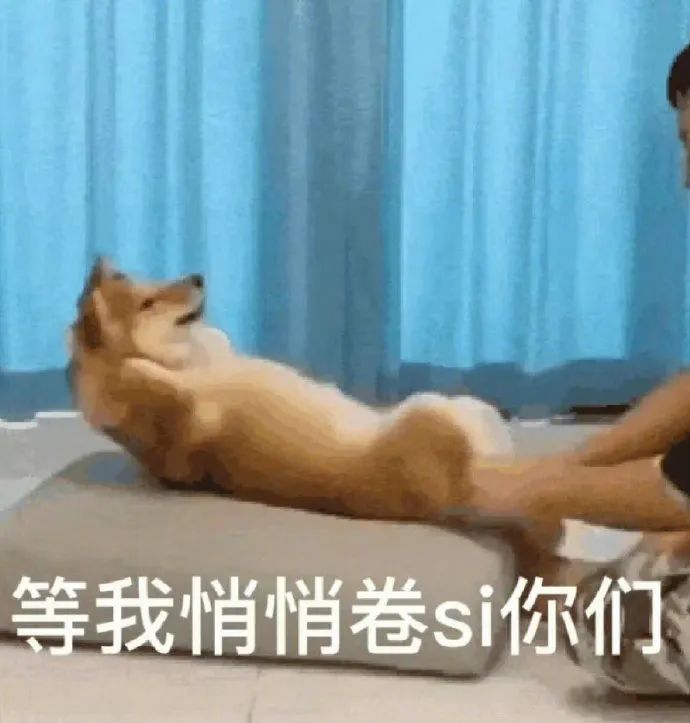 图片[3]-探寻三个小众富婆赛道：奢侈品直播、身心灵疗愈和私密护理-云上仙人资源网