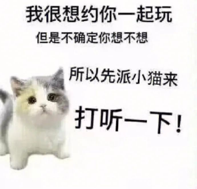 图片[2]-探寻三个小众富婆赛道：奢侈品直播、身心灵疗愈和私密护理-云上仙人资源网