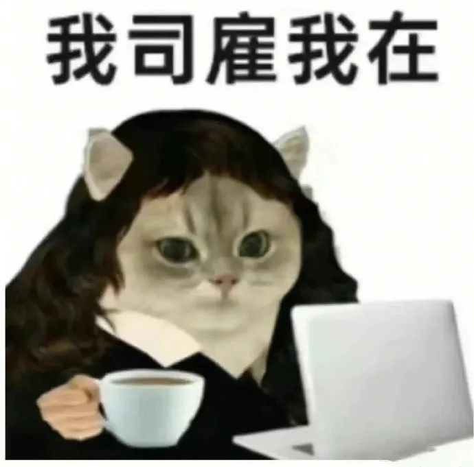 图片[4]-探寻三个小众富婆赛道：奢侈品直播、身心灵疗愈和私密护理-云上仙人资源网