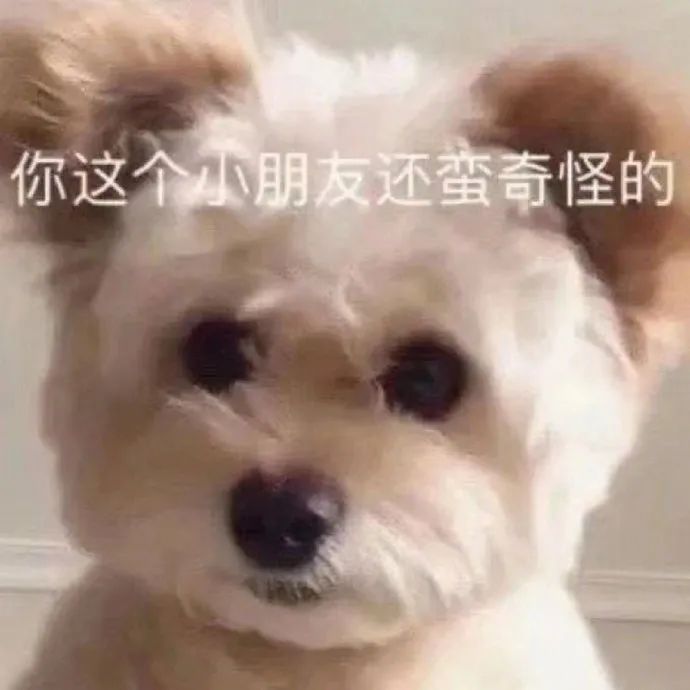 图片[1]-探寻三个小众富婆赛道：奢侈品直播、身心灵疗愈和私密护理-云上仙人资源网