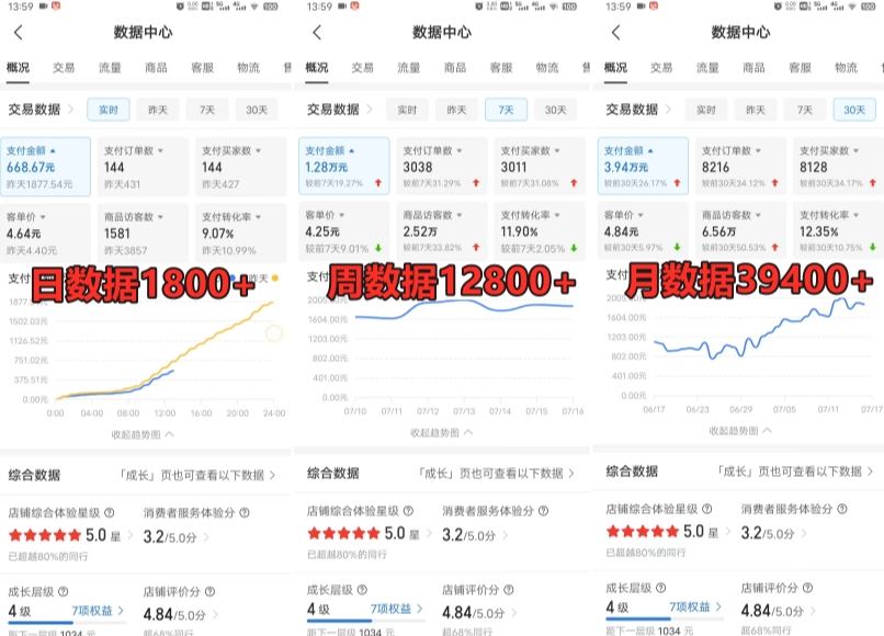 拼多多虚拟产品电商训练课：月入30000 你也行，暴利稳定，长久副业首选