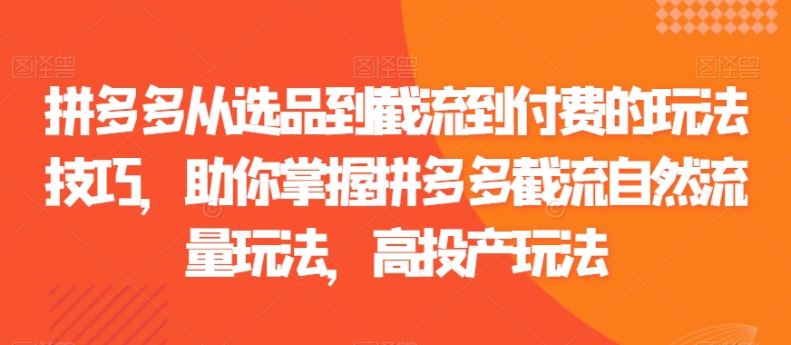 拼多多从选品到截流到付费的玩法技巧,助你掌握拼多多截流自然流量玩法,高投产玩法