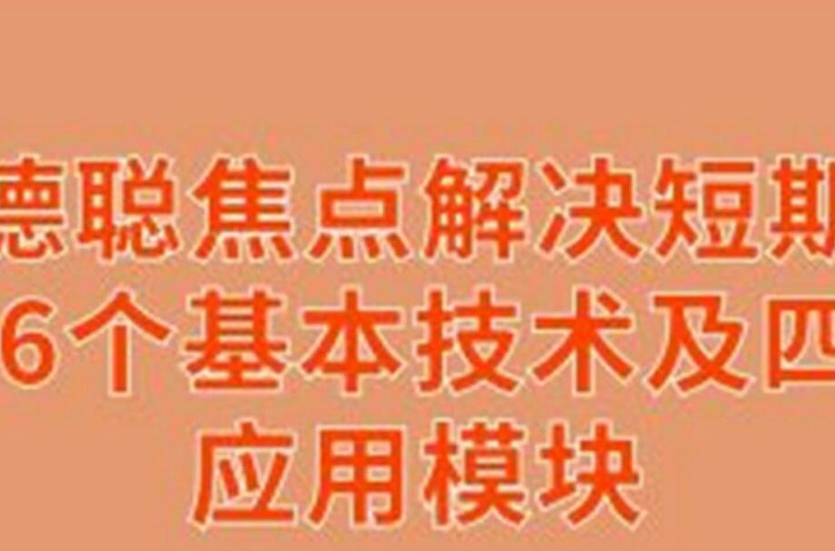 张德聪·焦点解决短期治疗系列短期课简介