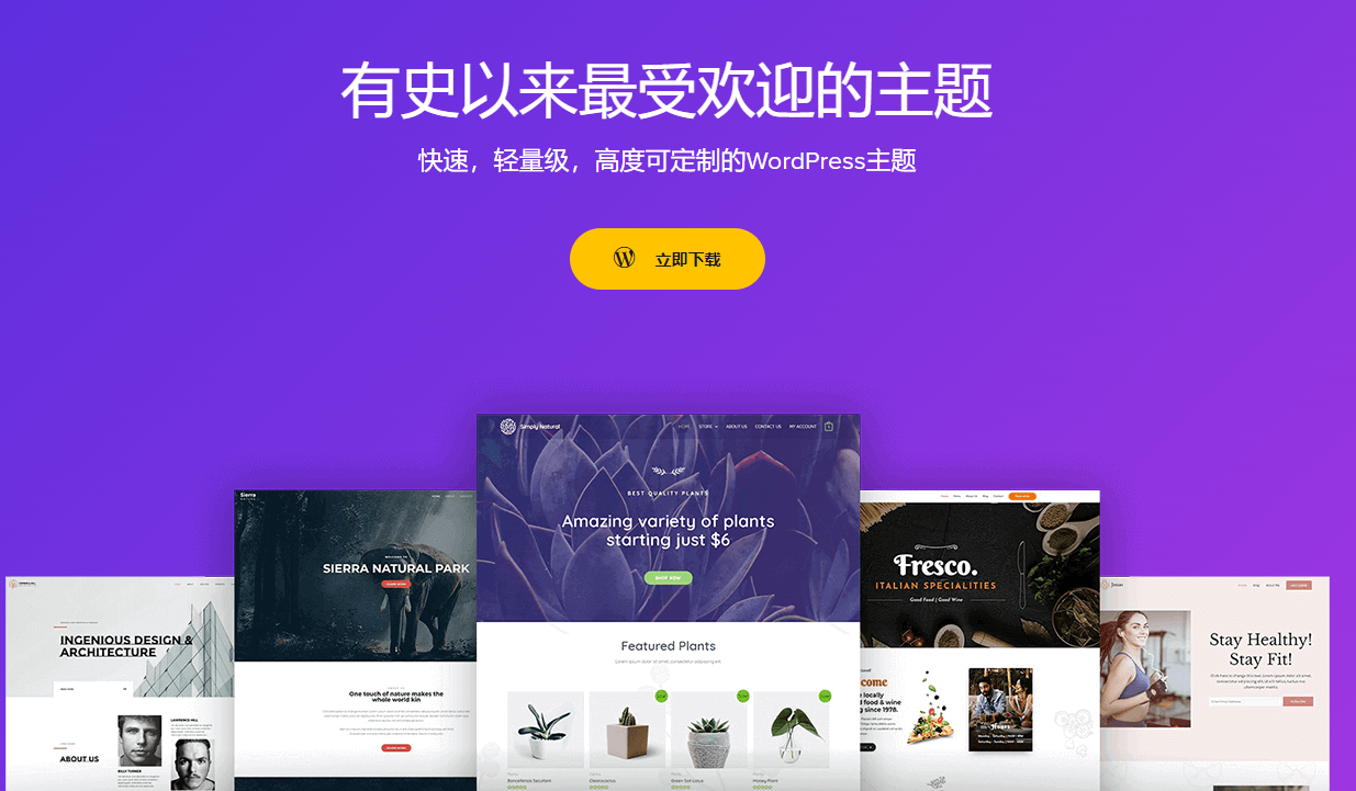 Astra – WordPress最受欢迎的/轻量级的/高度可定制的主题 汉化破解版
