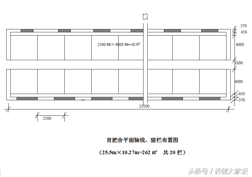 母猪养殖场建设图（20头母猪场设计参数和设计图纸）