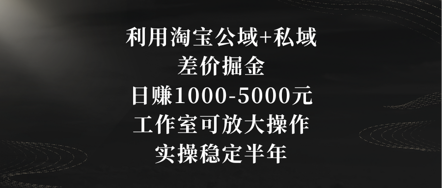 图片[1]-利用淘宝公域+私域差价掘金：日赚1000-5000元，工作室可放大操作，实操…-云上仙人资源网