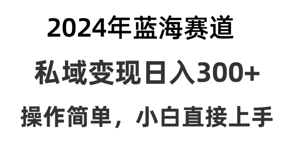 2024抖音蓝海赛道,私域变现日入300+,操作简单,每年只需一小时,纯小白可直接上手