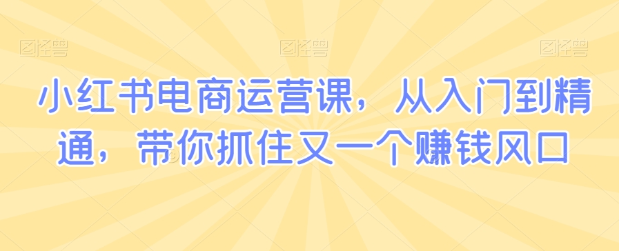 小红书电商运营课,从入门到精通,带你抓住又一个赚钱风口