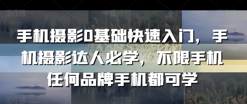 手机摄影0基础快速入门,手机摄影达人必学,不限手机任何品牌手机都可学