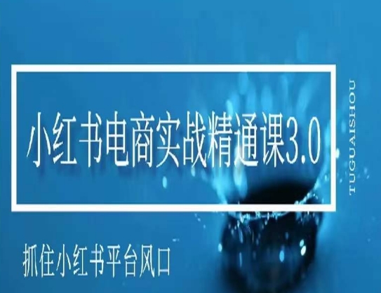 小红书电商实战精通课3.0,抓住小红书平台的风口,不错过有一个赚钱的机会