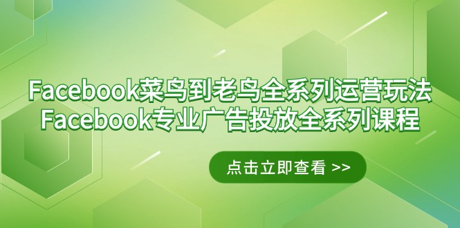 图片[1]-Facebook-菜鸟到老鸟全系列运营玩法+Facebook-专业广告投放全系列课程-云上仙人资源网