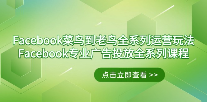 图片[1]-Facebook-菜鸟到老鸟全系列运营玩法+Facebook-专业广告投放全系列课程-云上仙人资源网