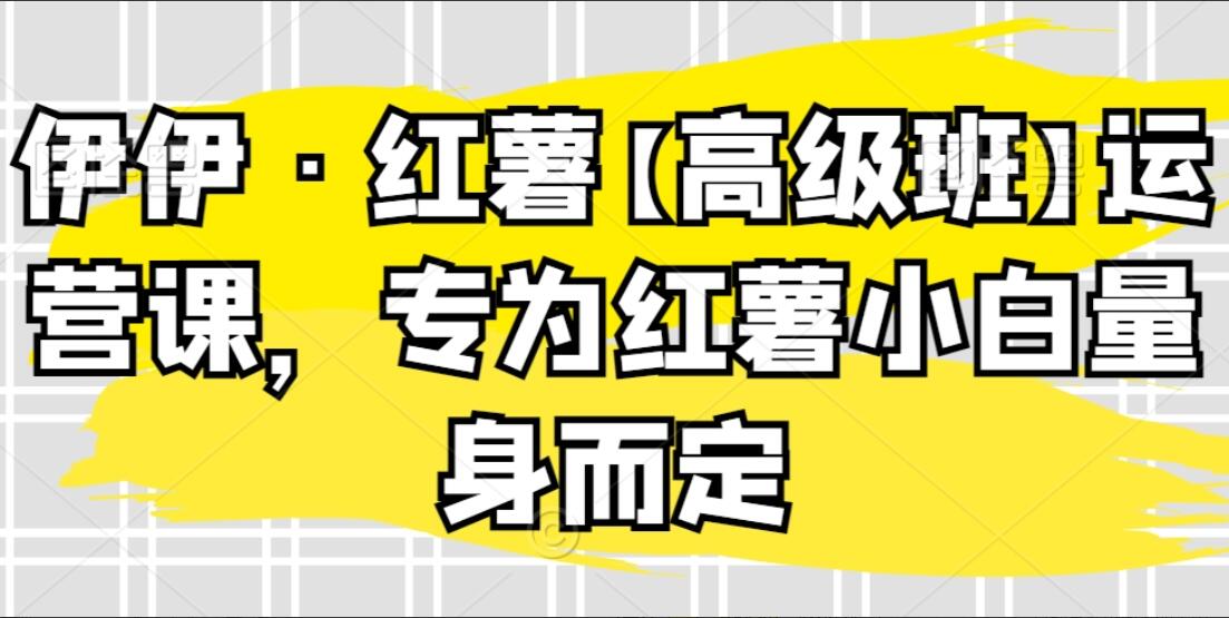 伊伊·小红书高级班运营课简介