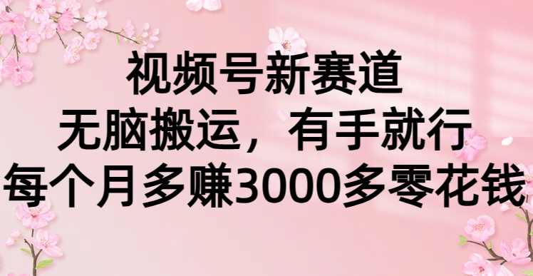 图片[1]-视频号新赛道，无脑搬运，有手就行，每个月多赚3000多零花钱-云上仙人资源网