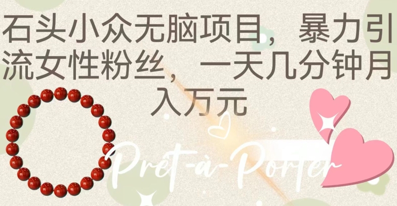 石头小众无脑项目,暴力引流女性粉丝,一天几分钟月入万元
