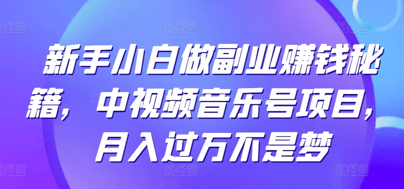 新手小白做副业赚钱秘籍,中视频音乐号项目,月入过万不是梦