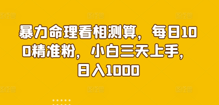 暴力命理看相测算,每日100精准粉,小白三天上手,日入1000