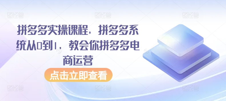 拼多多实操课程,拼多多系统从0到1,教会你拼多多电商运营