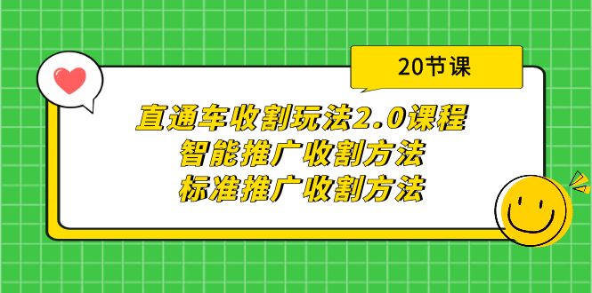 图片[1]-直通车收割玩法2.0课程：智能推广收割方法+标准推广收割方法（20节课）-云上仙人资源网