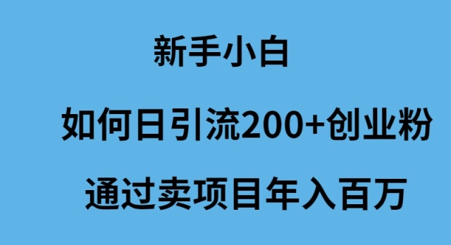 图片[1]-新手小白怎么样日引流200+创业粉通过卖项目年入百万-云上仙人资源网