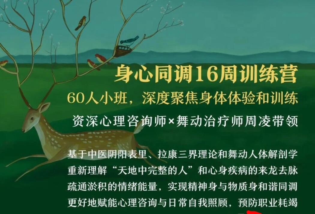 周凌·身心同调16周训练营简介
