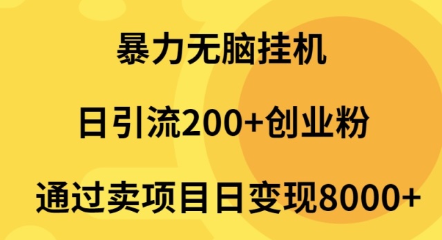 图片[1]-暴力无脑挂机日引流200+创业粉通过卖项目日变现2000+-云上仙人资源网