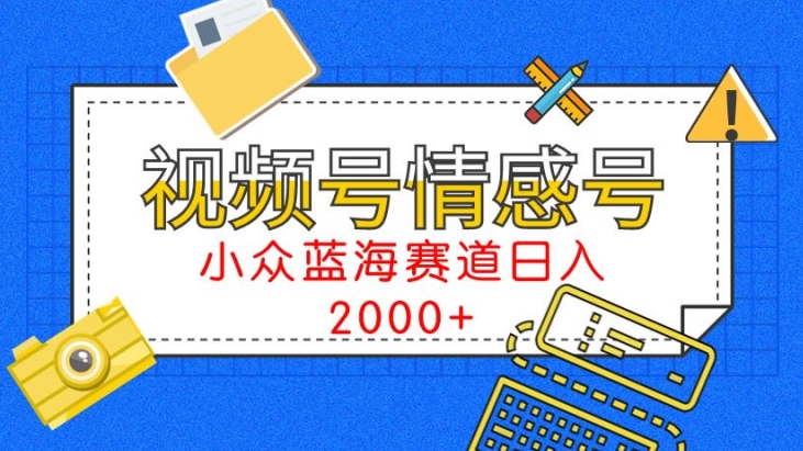 视频号情感号小众蓝海赛道,每天一小时,日入3000+