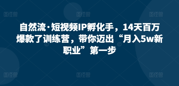 自然流·短视频IP孵化手,14天百万爆款了训练营,带你迈出“月入5w新职业”第一步