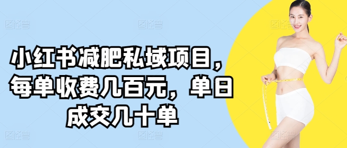 小红书减肥私域项目,每单收费几百元,单日成交几十单
