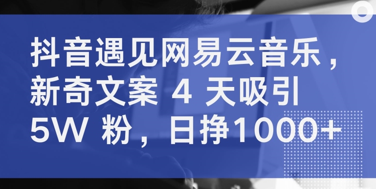 抖音遇见网易云音乐,新奇文案 4 天吸引 5W 粉,日挣1000+【揭秘】