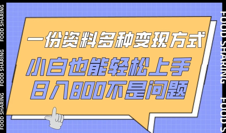 一份资料多种变现方式,小白也能轻松上手,日入800不是问题【揭秘】