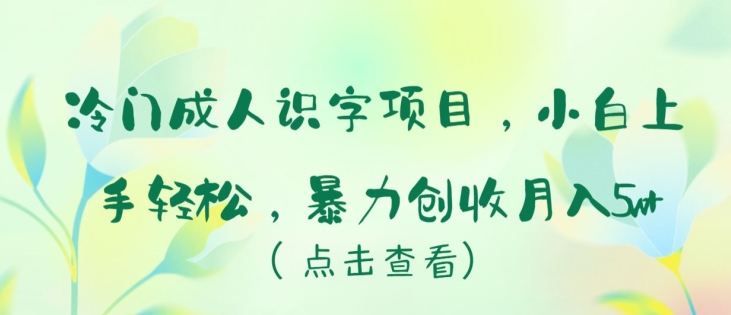 冷门成人识字项目,小白上手轻松,暴力创收月入5w+【揭秘】
