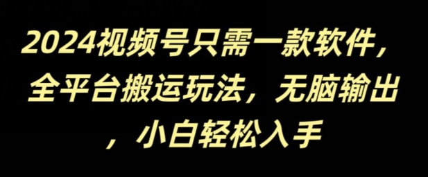2024视频号只需一款软件,全平台搬运玩法,无脑输出,新手小白也能月入过千