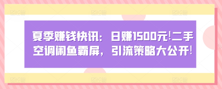 夏季赚钱快讯:日赚1500元,二手空调闲鱼霸屏,引流策略大公开!