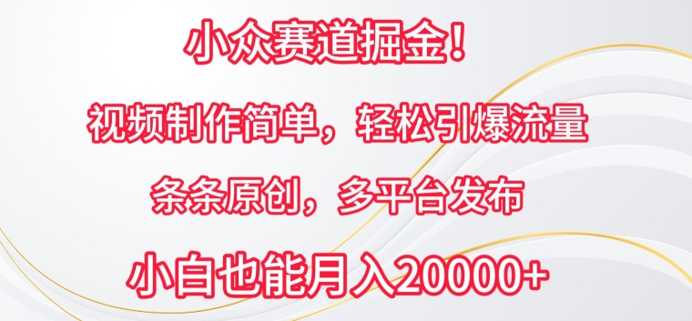 小众赛道掘金,视频制作简单,轻松引爆流量,条条原创,多平台发布【揭秘】