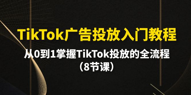 图片[1]-TikTok广告投放入门教程，从0到1掌握TikTok投放的全流程（8节课）-云上仙人资源网