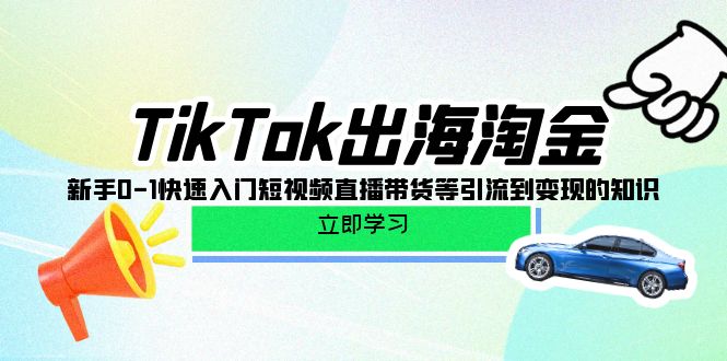 图片[1]-TikTok-出海淘金，新手0-1快速入门短视频直播带货等引流到变现的知识-阿灿说钱