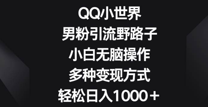 QQ小世界男粉引流野路子,小白无脑操作,多种变现方式轻松日入1000+