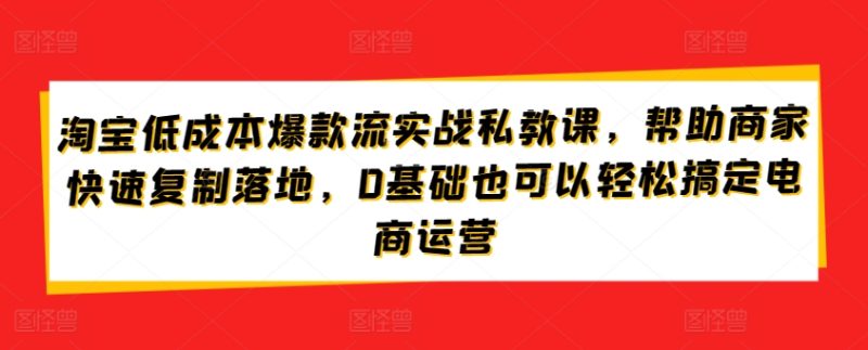 淘宝低成本爆款流实战攻略，低成本爆款打造与流量获取，0基础也可以轻松搞定电商运营 -1