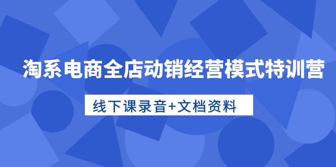 淘系电商运营高手特训：全店动销经营模式，线下课录音+文档资料