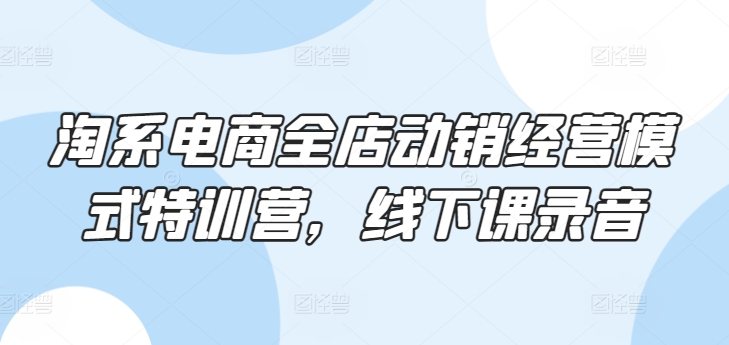 淘系电商全店动销经营模式特训营,线下课录音