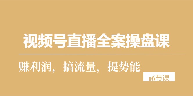 图片[1]-视频号直播实操攻略：从零到一，打造高利润直播间（16节课）-阿灿说钱