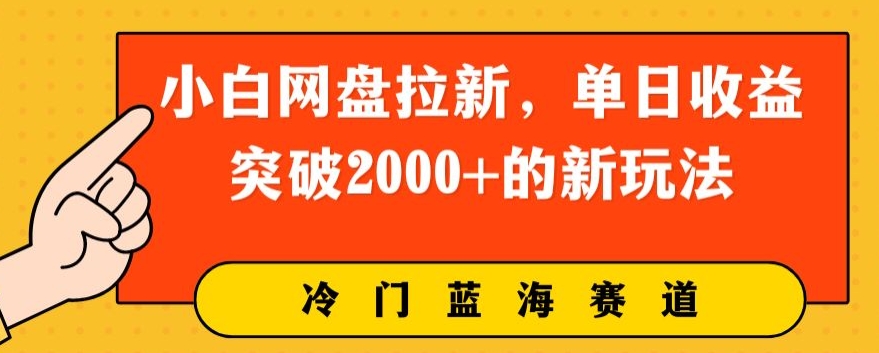 小白网盘拉新,单日收益突破2000+的新玩法