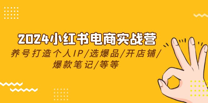 2024小红书电商实战课程，养号打造IP/选爆品/开店铺/爆款笔记/等等（24节）
