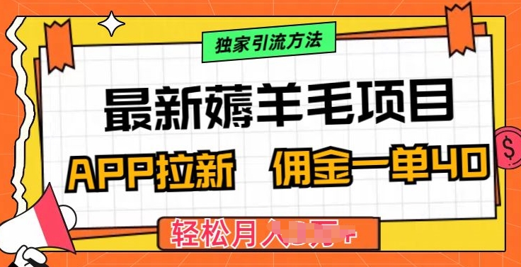 最新薅羊毛项目,利用购物APP拉新,佣金一单40.配合独家引流方法