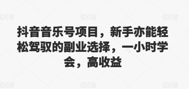 抖音音乐号项目,新手亦能轻松驾驭的副业选择,一小时学会,高收益