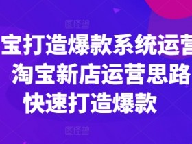 淘宝打造爆款系统运营课,淘宝新店运营思路,快速打造爆款